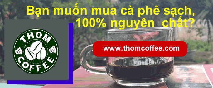 arabica-khesanh-thomcoffee-7