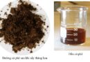 Biến bã cà phê thành dầu, đường sinh học